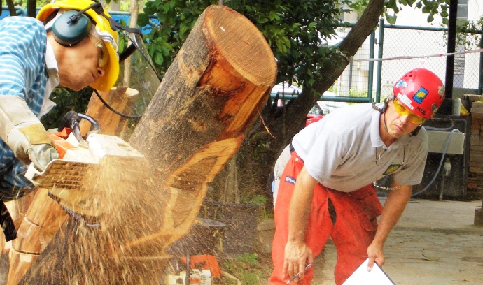 Chainsaw Safety Training