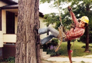 Don Picker Wright Tree Service in 1981