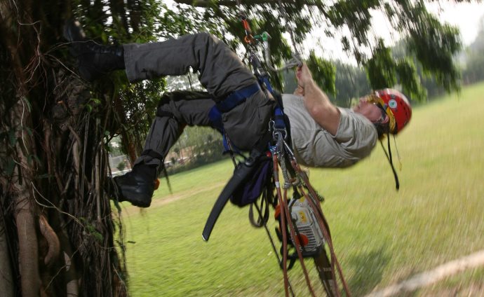 Tree Climbing Training