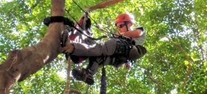 Tree Support System Training