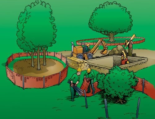 Avoiding Tree Damage During Construction