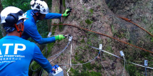 Arborist Careers with ATP