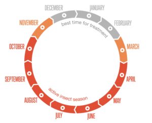 ATP Insect Treatment Schedule for Trees in Hong Kong